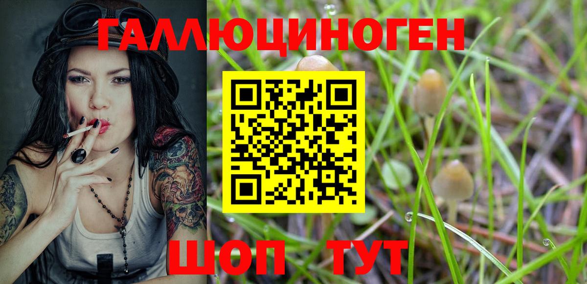 Псилоцибиновые грибы Cubensis  Вход с VPN  Норильск 