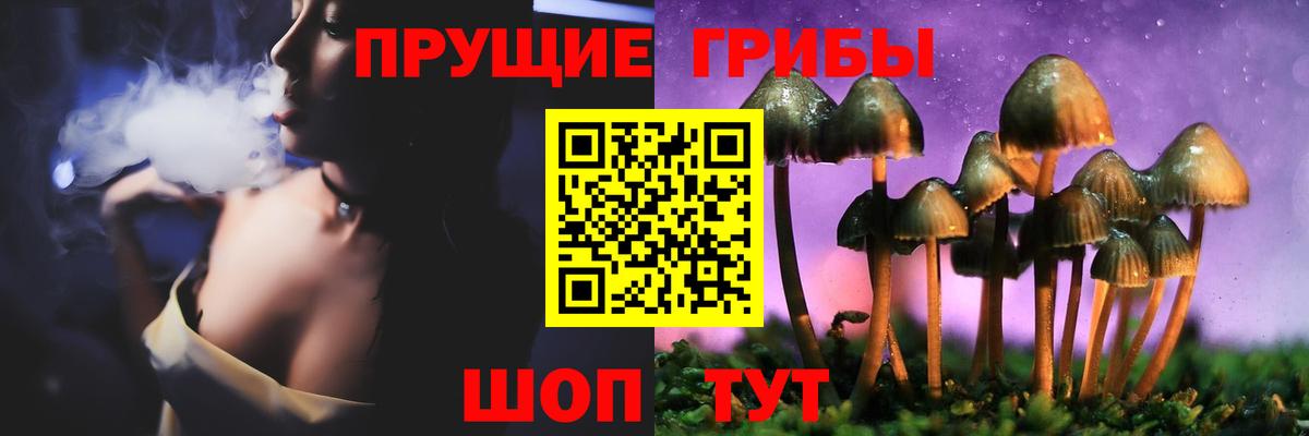 Галлюциногенные грибы Cubensis Норильск